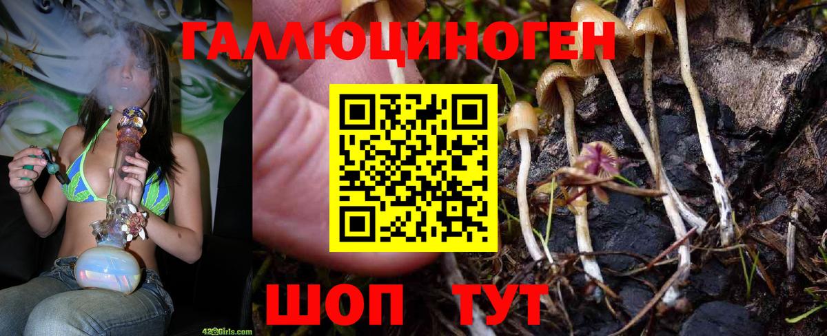 Городец  Галлюциногенные грибы Magic Shrooms  Вход с VPN  Псилоцибиновые грибы мухоморы 